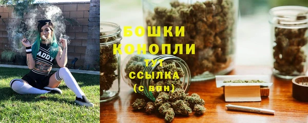 стафф Богданович